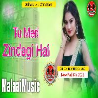 Tu Meri Zindagi Hai 90s 2022 New Pas Remake Song MalaaiMusicChiraGaonDomanpur.mp3
